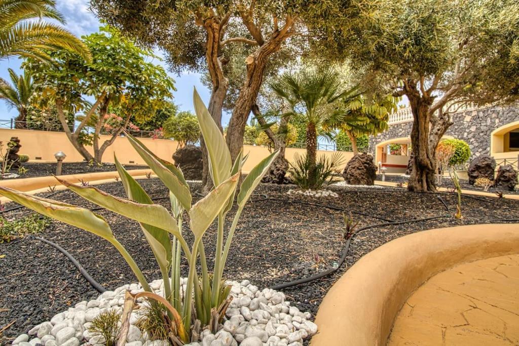 Duplex Paradise Parque Tropical 1 Cristianos * Los Cristianos (Tenerife)